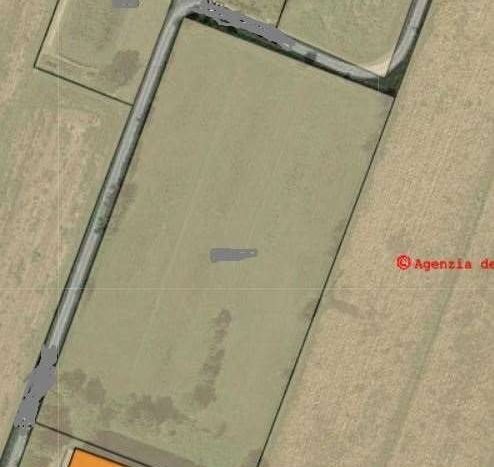 Capannone Modena - foto 2