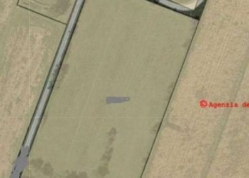 Capannone Modena - foto 2