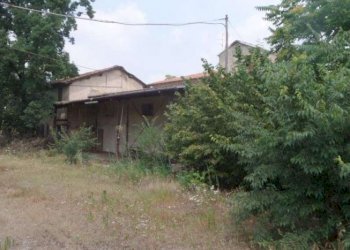 Farm Modena - photo 5