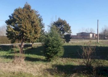 Casale Soliera - photo 4