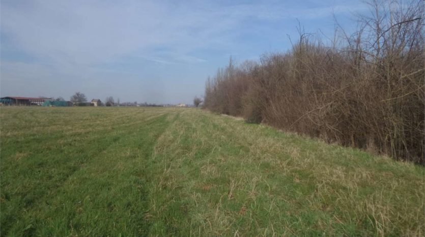 Terreno agricolo Campogalliano - foto 1