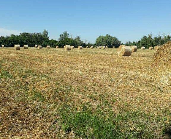 Terreno agricolo Campogalliano - foto 3
