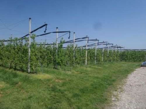 Farm Soliera - photo 3