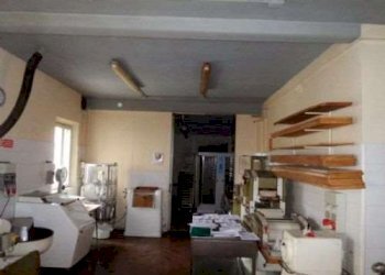 Negozio Soliera - foto 3