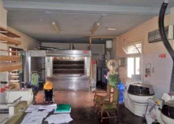 Negozio Soliera - foto 4