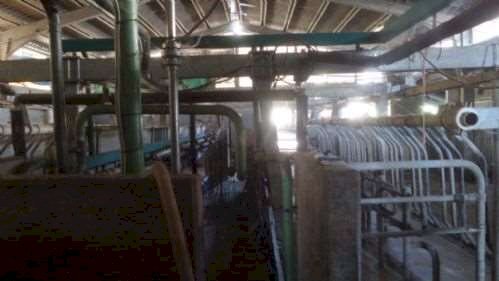 Farm Pavullo nel Frignano - photo 3