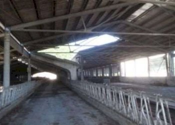 Farm Pavullo nel Frignano - photo 6