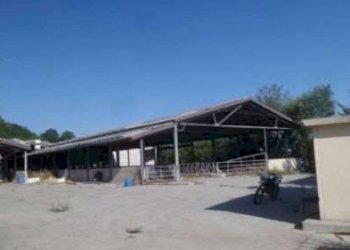Farm Pavullo nel Frignano - photo 8