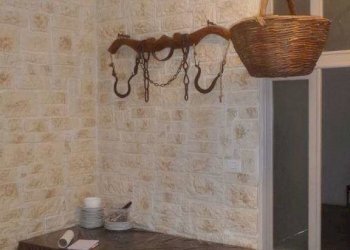 Stabile - Palazzo Castelfranco Emilia - foto 20