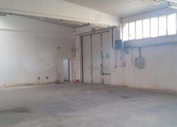 Shed Correggio - photo 7
