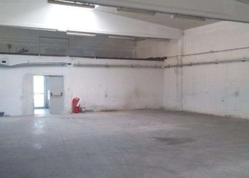 Shed Correggio - photo 8