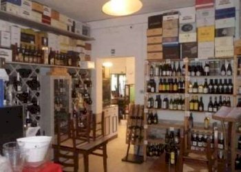 Ristorante Castelfranco Emilia - foto 3