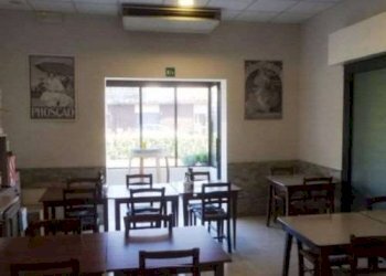 Ristorante Castelfranco Emilia - foto 4