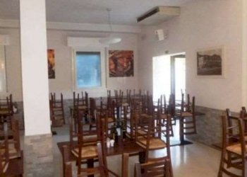 Ristorante Castelfranco Emilia - foto 10