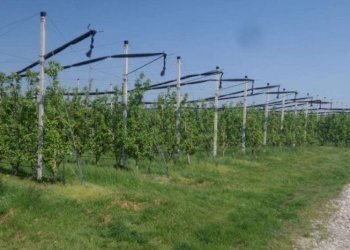 Casale Soliera - photo 11