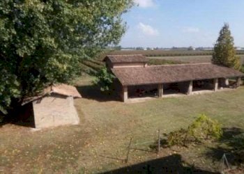 Casale Correggio - foto 3