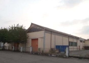 Capannone Campogalliano - foto 5