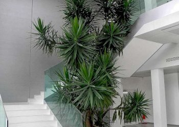 Building land Soliera - photo 5