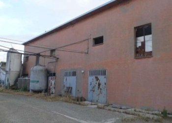 Farm Soliera - photo 8