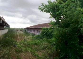 Farm Soliera - photo 11