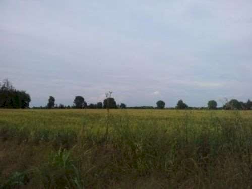 Agricultural land Carpi - photo 1