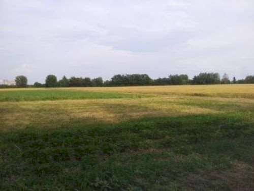 Agricultural land Carpi - photo 3