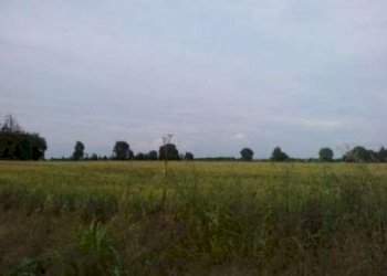 Terreno agricolo Carpi - foto 1