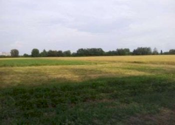 Terreno agricolo Carpi - foto 3