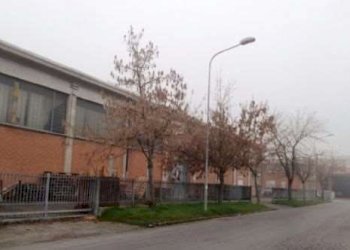 Capannone Soliera - foto 4