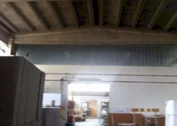 Capannone Soliera - foto 7