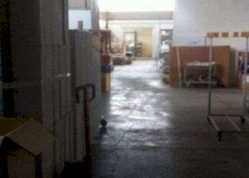 Capannone Soliera - foto 8