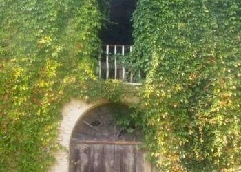 Villa Modena - photo 3