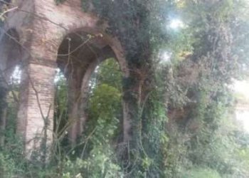 Villa Modena - photo 6
