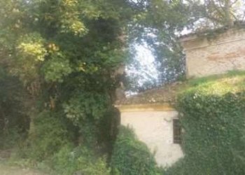 Villa Modena - photo 13