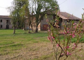 Villa Modena - photo 16