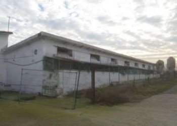 Terreno agricolo Modena - foto 4