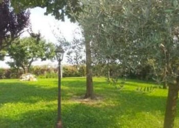 Villa Soliera - foto 35