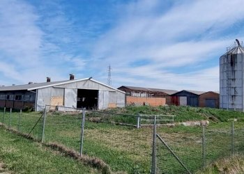 Azienda agricola Carpi - foto 2