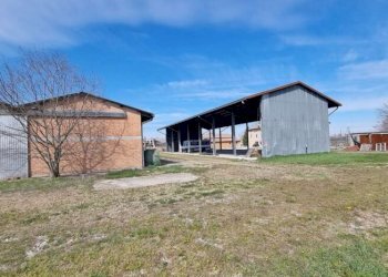 Azienda agricola Carpi - foto 5