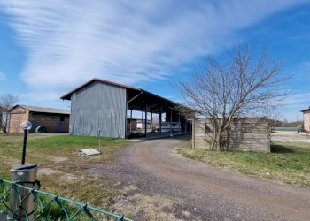 Azienda agricola Carpi - foto 6