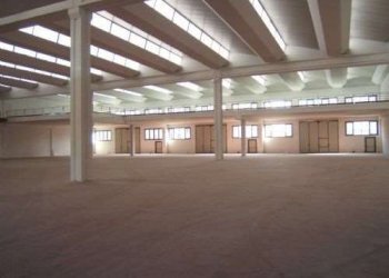 Capannone Modena - foto 6