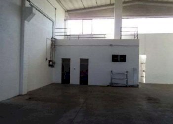 Capannone Soliera - foto 4