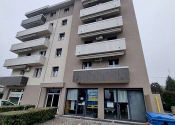 Negozio Carpi - foto 2