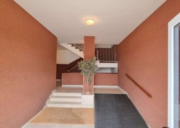Negozio Carpi - foto 4