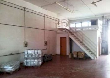 Capannone Soliera - foto 2