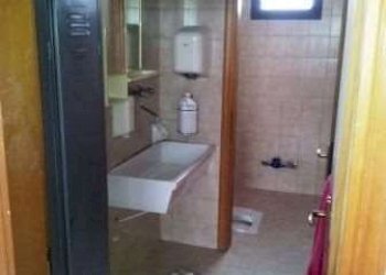 Capannone Soliera - foto 6