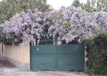 Single Family Villa Fossano - photo 23