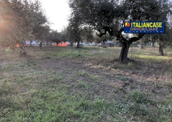 IMG-20230419-WA0017.jpg - Terreno agricolo Contrada San Pietro 89, Città Sant'Angelo - foto 4