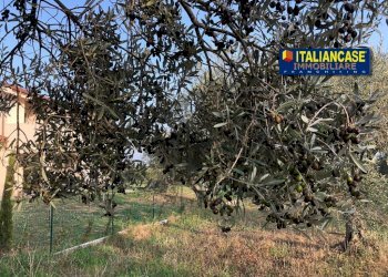 IMG-20230419-WA0019.jpg - Terreno agricolo Contrada San Pietro 89, Città Sant'Angelo - foto 6