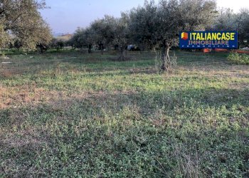 IMG-20230419-WA0020.jpg - Terreno agricolo Contrada San Pietro 89, Città Sant'Angelo - foto 7